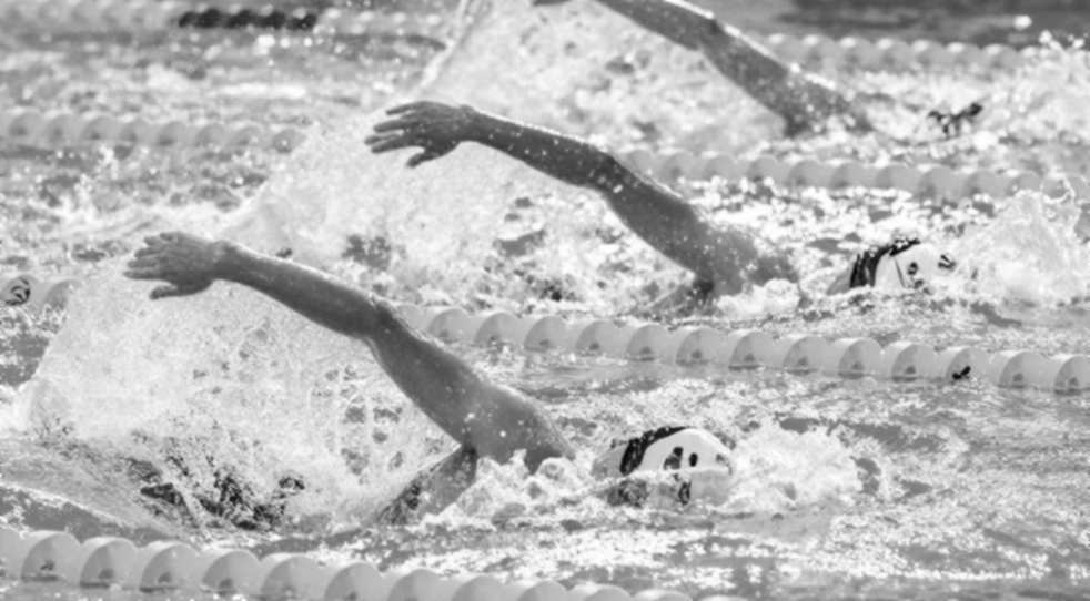 Bơi lội Việt Nam: Từ con số 0 đến kỳ vọng SEA Games — Phân tích dữ liệu chuyên sâu về hành trình chưa hoàn thành